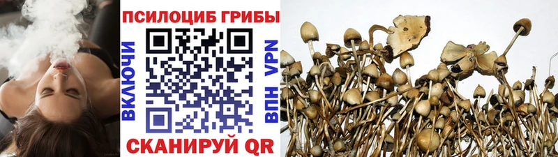 Псилоцибиновые грибы GOLDEN TEACHER  omg ТОР  Кувандык 